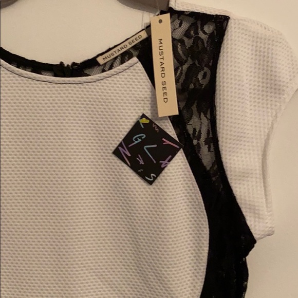 Lace Dress - Picture 3 of 8